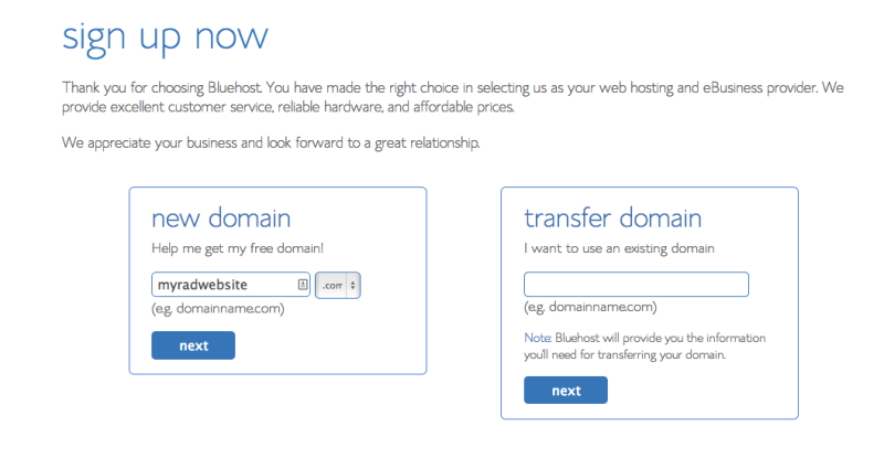 Bluehost Signup 1