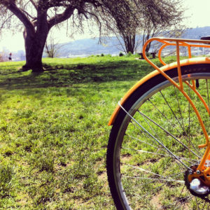 Orange Bike - I got it!